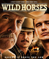 Wild Horses /  